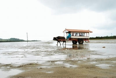 ★青空の写真が撮りたかった（涙）★