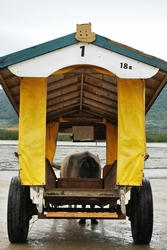 ★1号車がカバって・・・★