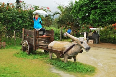★ちょっぴりカントリーチック★