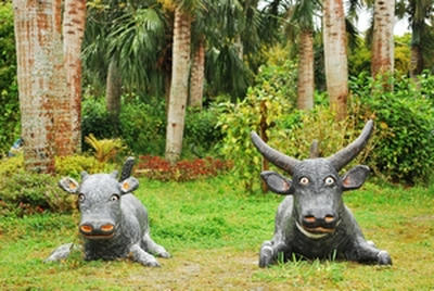 ★オスとメスにしてあるところが気が利いている★