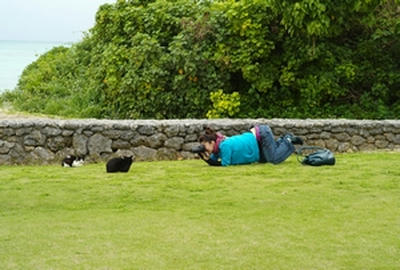 ★猫たちがかわゆすぎて、我を忘れる写欲子★