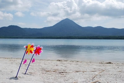 ★極楽とも言うべき美しさ★