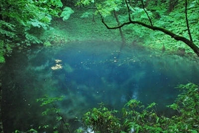 ★青と緑のグラデーション★