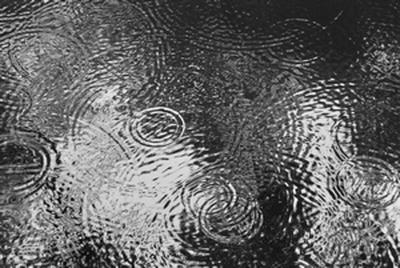 ★生きているみたい★