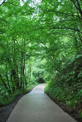 ★舗装された道★