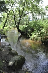 ★何か住んでそうな川★