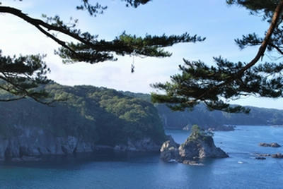 ★松と岩のコンビネーション★