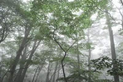 ★何か住んでそう★