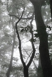 ★きれいすぎてちょっと怖い★