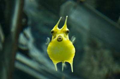 ★かわいすぎる★