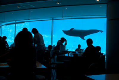 ★ゴージャスな気分が味わえる★