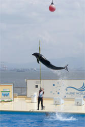 ★すごいジャンプ力★