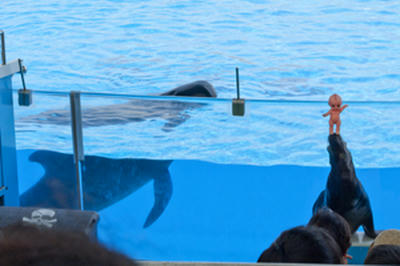 ★なぜかキューピーちゃんと共演★