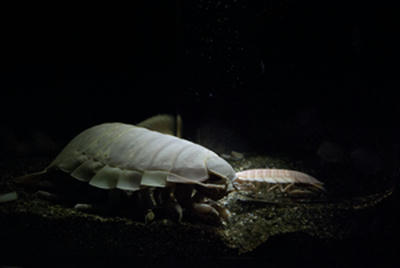 ★迫力ありすぎ★