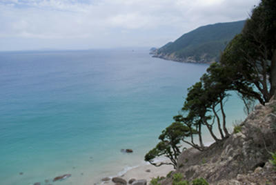 ★海風と真っ向勝負★