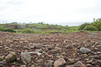 ★赤と緑のストライプ★