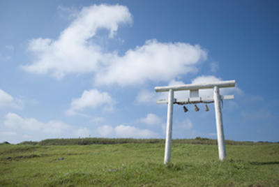 ★白い鳥居がまぶしい★