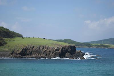 ★怖くないのかな★