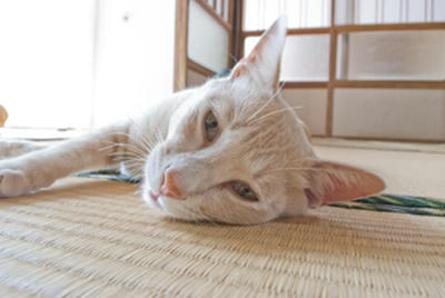 ★そんな瞳で見つめないでっ★