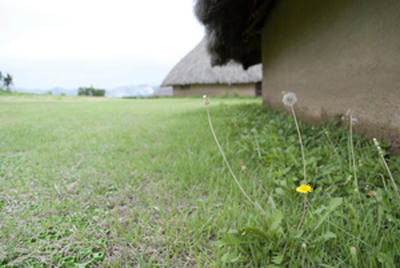 ★穏やかな空気★