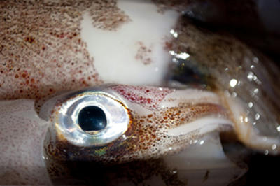 ★こっちが見られてるみたい★