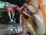 c863b366.jpg