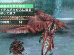 SN3J1437.JPG