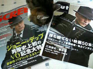 200903021158000.jpg