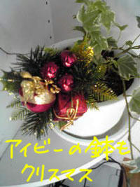 christmas5.jpg