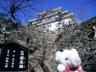 wakayama8.jpg