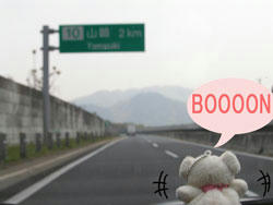 boon.jpg