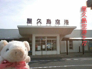 yakusima1.jpg