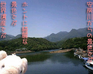 yakusima4.jpg