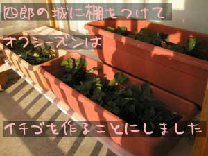 PC235749.jpg