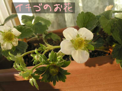 PC235752.jpg