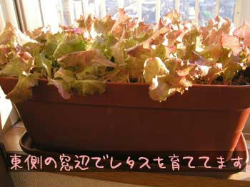 PC235754.jpg
