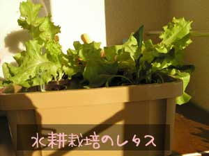 PC235757.jpg