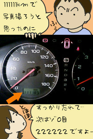 111111.jpg