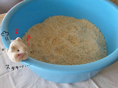 miso2.jpg