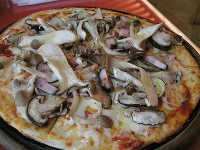 p4.jpg
