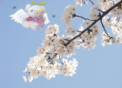 angel.jpg