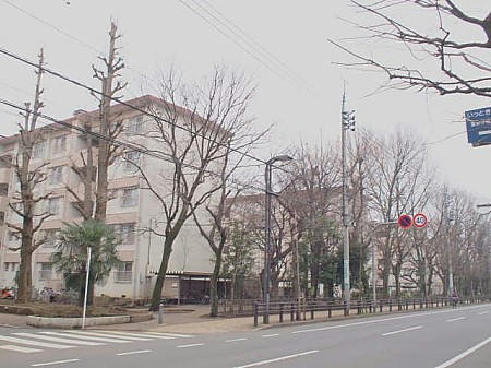 P3012786.JPG
