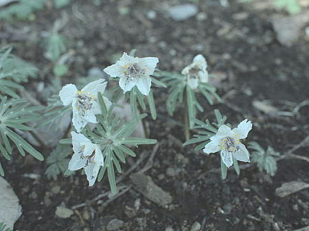 21208d4f.JPG