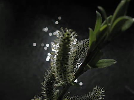 IMG_6672.JPG