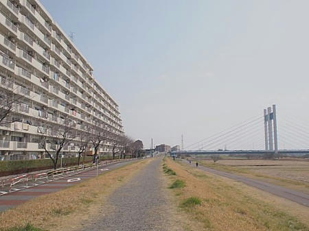 P3132864.JPG