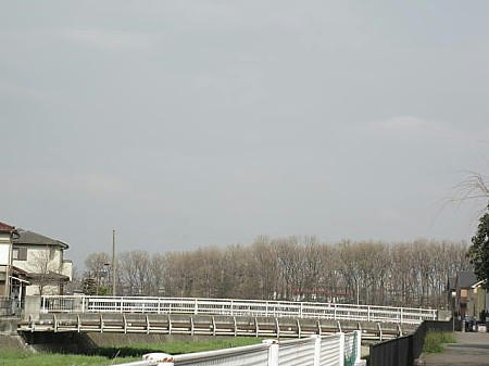 IMG_6875.JPG