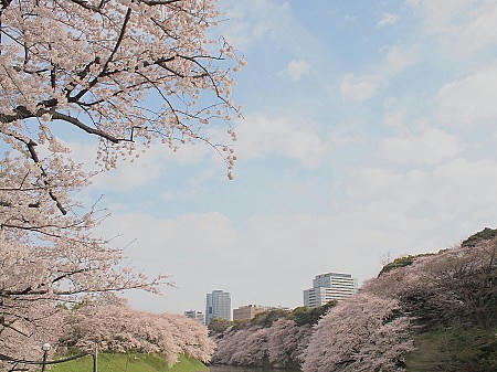 P4033054.JPG