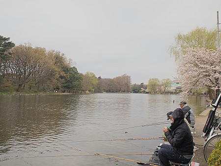 P4043147.JPG