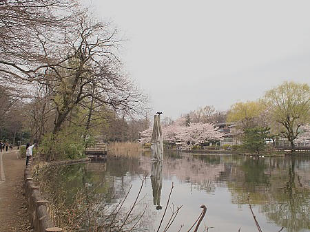 P4043157.JPG