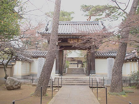 P4043158.JPG